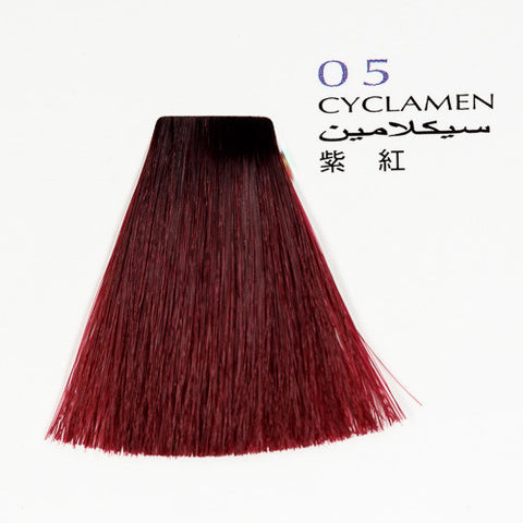 SHINE MOIST Henna Wax Color Treatment